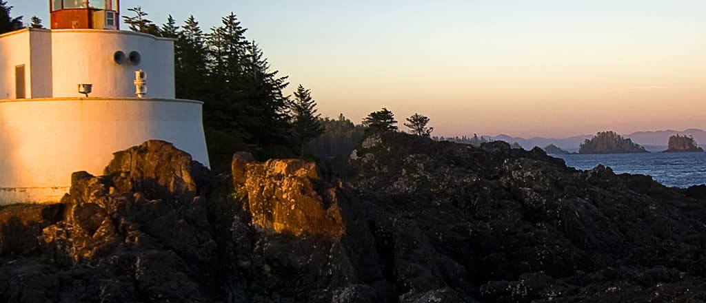 MILKI cover photo MILKI cover photo