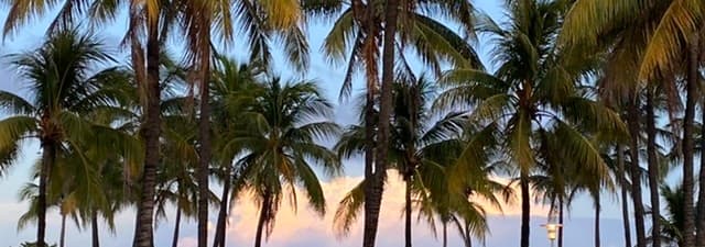 RyanOhio46 cover photo RyanOhio46 cover photo