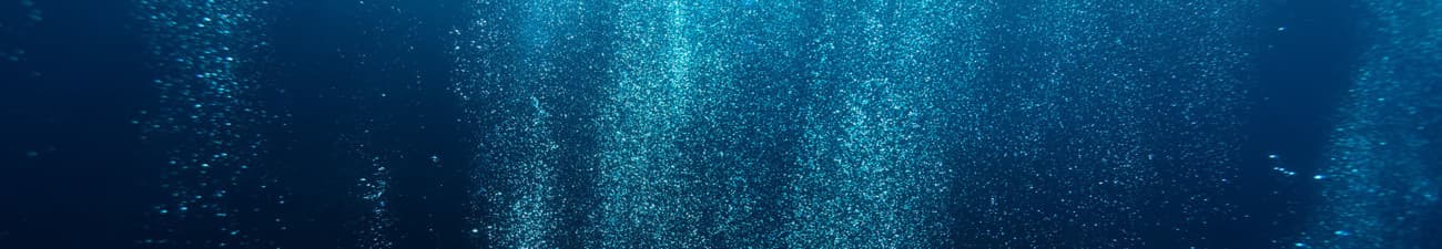 AndNow50 cover photo AndNow50 cover photo