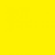 Profile picture of yellow