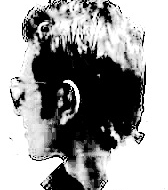 Profile picture of nofi