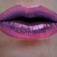 Profile picture of tulip