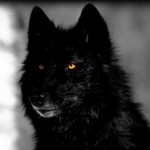 Profile picture of Alec958