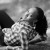 Profile picture of Aminaj80