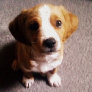Profile picture of cutestgirl