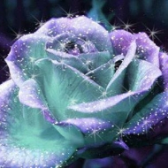 Profile picture of tearsoflove
