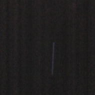 Profile picture of _adam_phx
