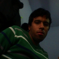 Profile picture of ekusisotia