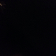 Profile picture of Ginlove25