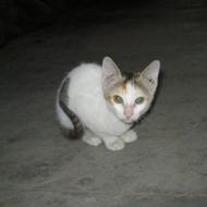 Profile picture of hillview