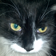 Profile picture of joe772