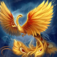 Profile picture of clever
