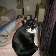 Profile picture of Brandi