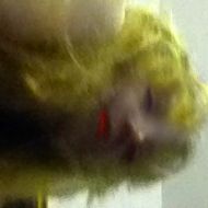 Profile picture of Cgnitz
