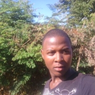 Profile picture of Wayne13