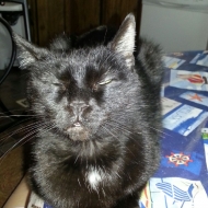 Profile picture of Hilonesome