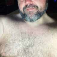 Profile picture of bull