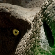 Profile picture of Rexy_Lurker
