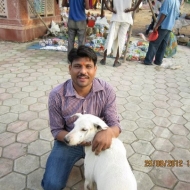 Profile picture of anu790