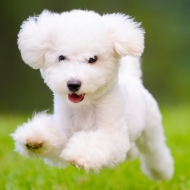 Profile picture of save