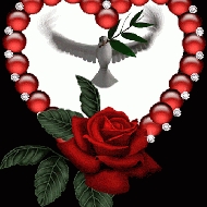 Profile picture of ELISA77