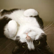 Profile picture of itsmyfirsttime