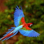 Profile picture of akhilraj04