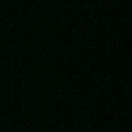 Profile picture of pelon