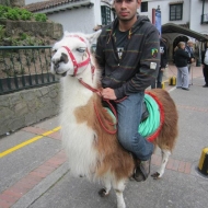 Profile picture of latinsalsa