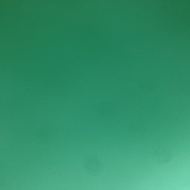 Profile picture of Nick29bi