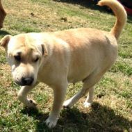 Profile picture of dUoTuAcNhe
