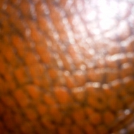 Profile picture of mcdadd11
