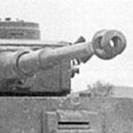 Profile picture of stukadogg