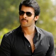 Profile picture of chintu