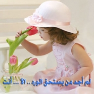 Profile picture of rashed