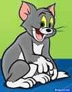 Profile picture of manav111
