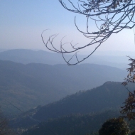 Profile picture of mehru82