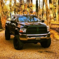 Profile picture of countryboy88
