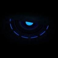 Profile picture of monkeyman1231