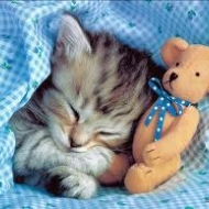 Profile picture of Sleeping_Neko