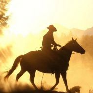 Profile picture of Cowboywero