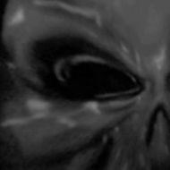 Profile picture of gameover