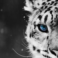 Profile picture of Cece87