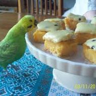 Profile picture of bird