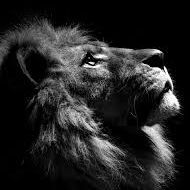 Profile picture of John1120