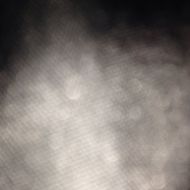 Profile picture of Roxy03